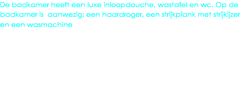 De badkamer heeft een luxe inloopdouche, wastafel en wc. Op de badkamer is aanwezig: een haardroger, een strijkplank met strijkijzer en een wasmachine